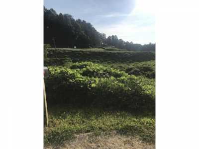 Residential Land For Sale in Ducktown, Tennessee