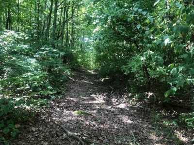 Residential Land For Sale in Chattanooga, Tennessee