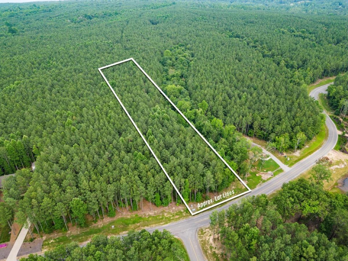 Picture of Residential Land For Sale in Jasper, Tennessee, United States