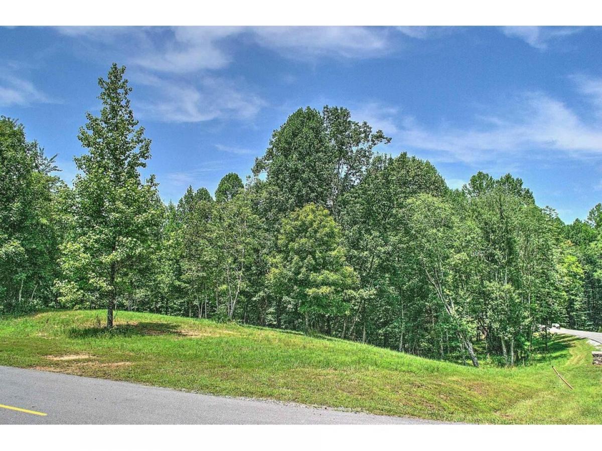 Picture of Residential Land For Sale in Jasper, Tennessee, United States