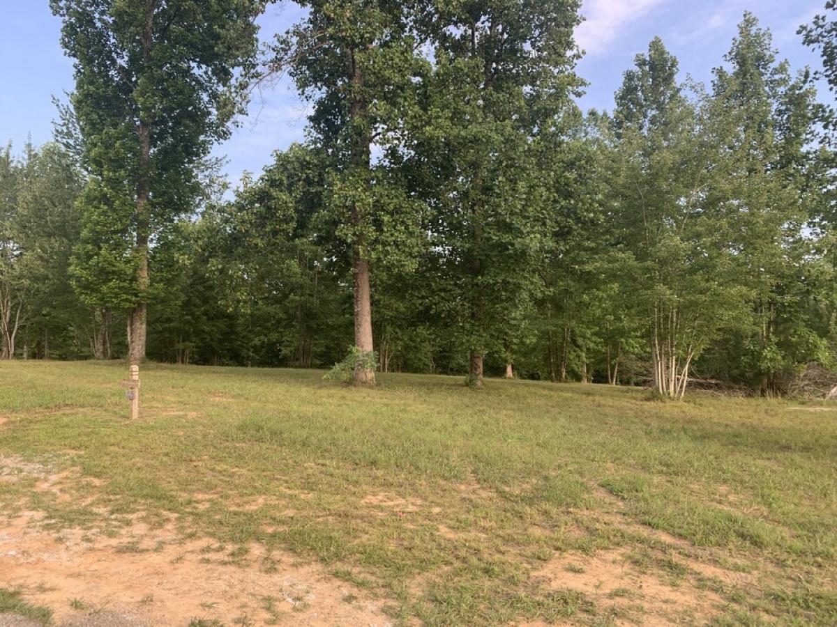 Picture of Residential Land For Sale in Jasper, Tennessee, United States