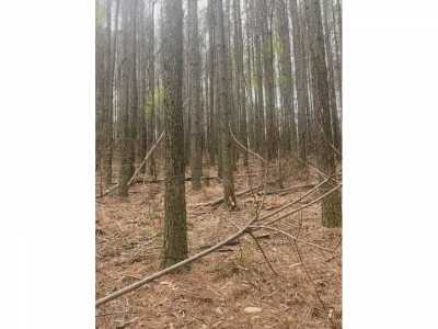 Residential Land For Sale in Guild, Tennessee