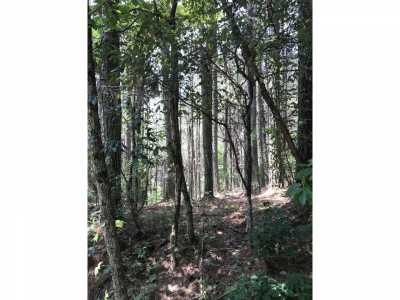 Residential Land For Sale in Ducktown, Tennessee