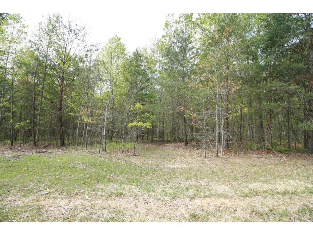 Picture of Residential Land For Sale in Dunlap, Tennessee, United States