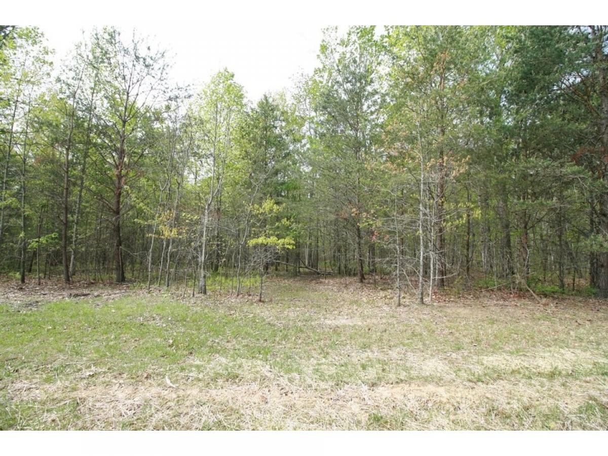 Picture of Residential Land For Sale in Dunlap, Tennessee, United States