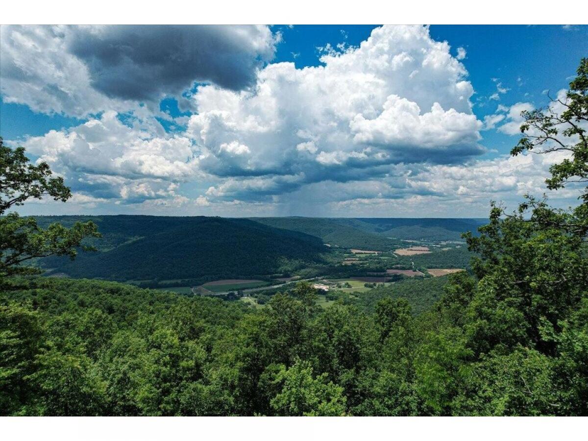 Picture of Residential Land For Sale in Jasper, Tennessee, United States