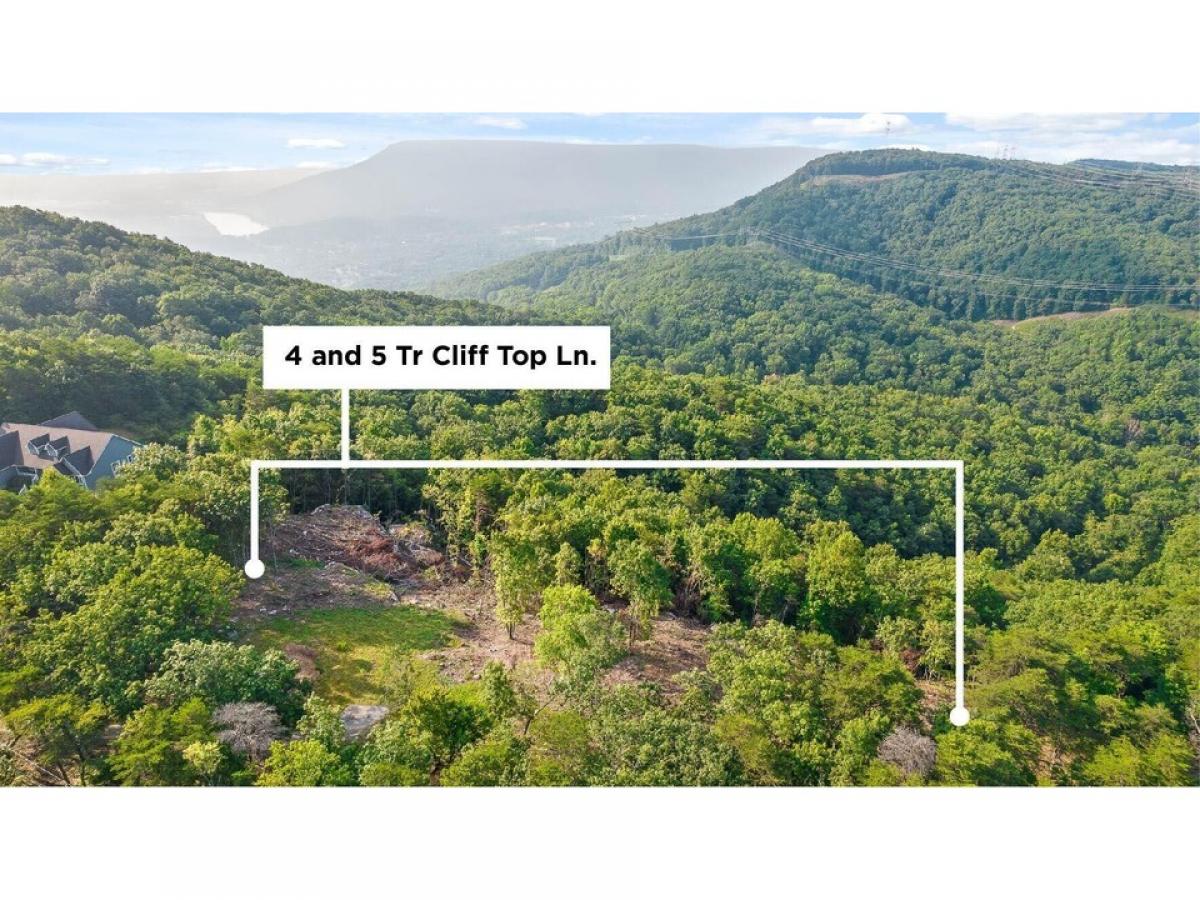 Picture of Residential Land For Sale in Chattanooga, Tennessee, United States