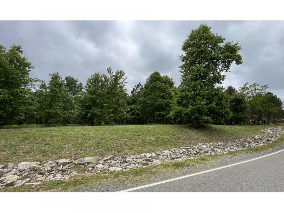 Picture of Residential Land For Sale in Jasper, Tennessee, United States