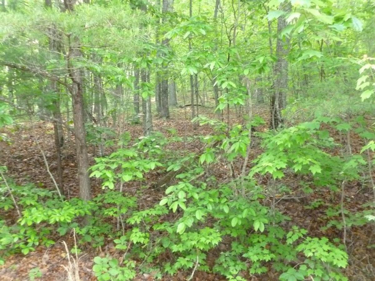 Picture of Residential Land For Sale in Crossville, Tennessee, United States