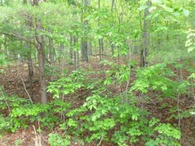 Residential Land For Sale in Crossville, Tennessee