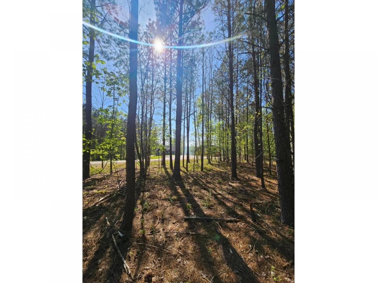 Picture of Residential Land For Sale in Jasper, Tennessee, United States