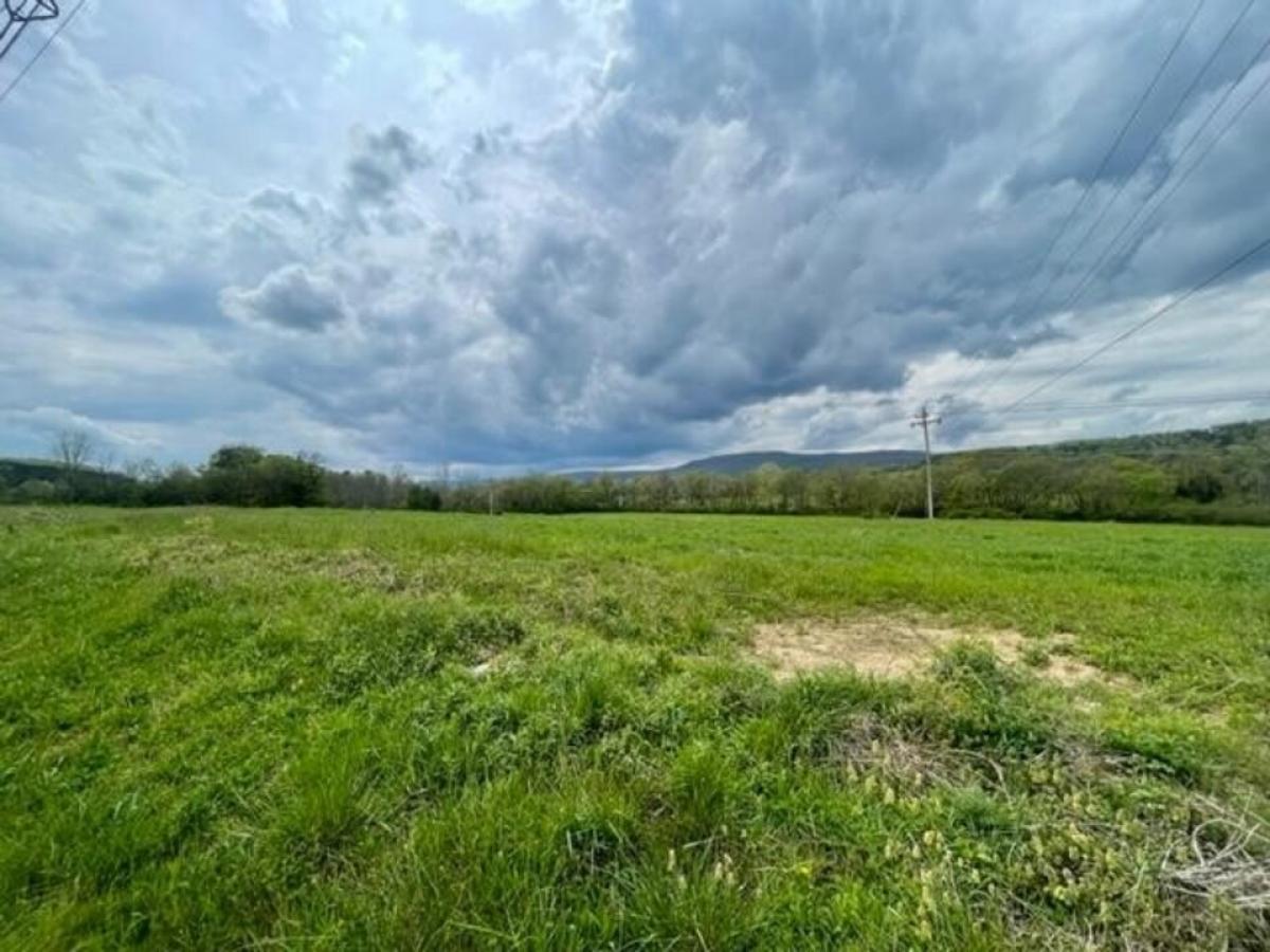 Picture of Residential Land For Sale in Lafayette, Georgia, United States