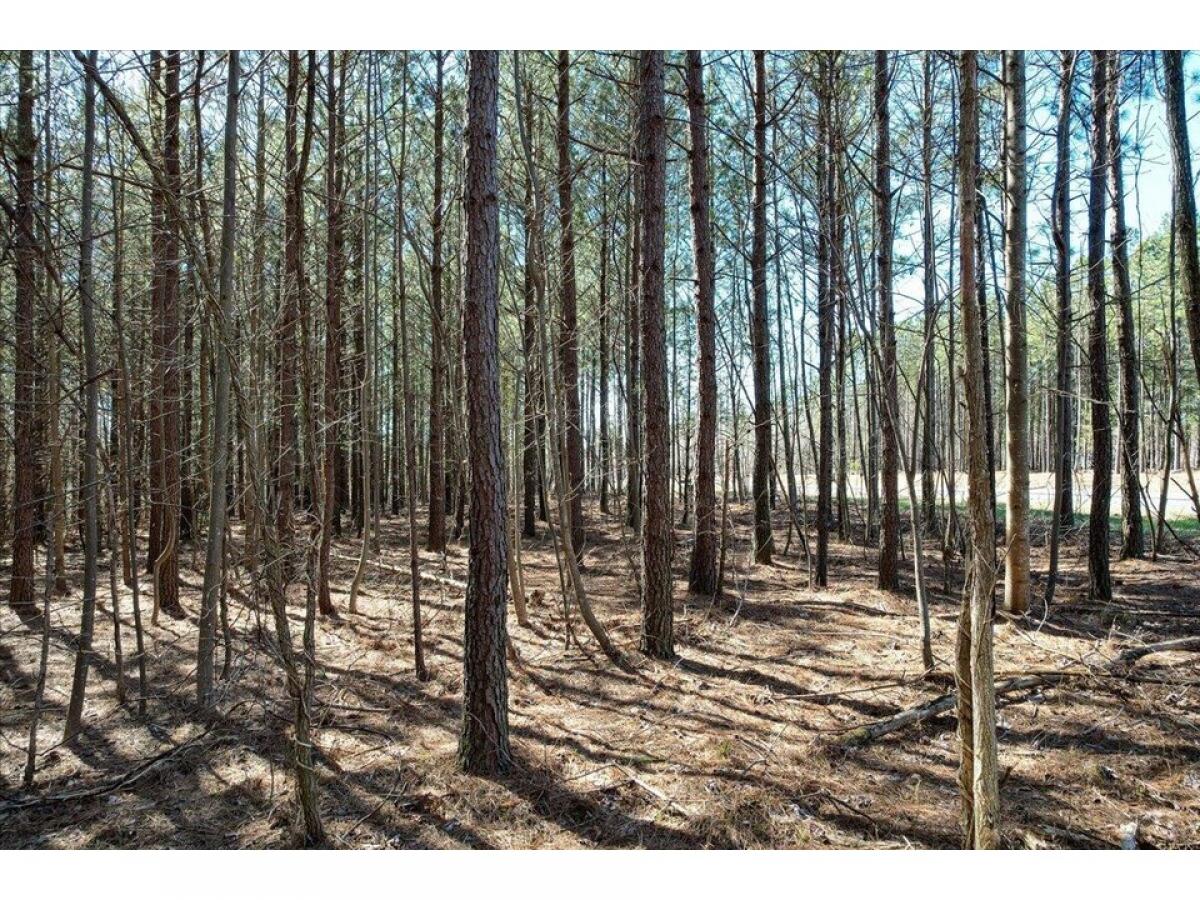 Picture of Residential Land For Sale in Jasper, Tennessee, United States