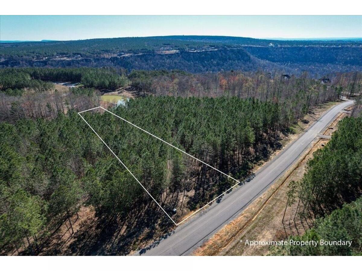 Picture of Residential Land For Sale in Jasper, Tennessee, United States