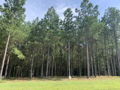 Residential Land For Sale in Jasper, Tennessee