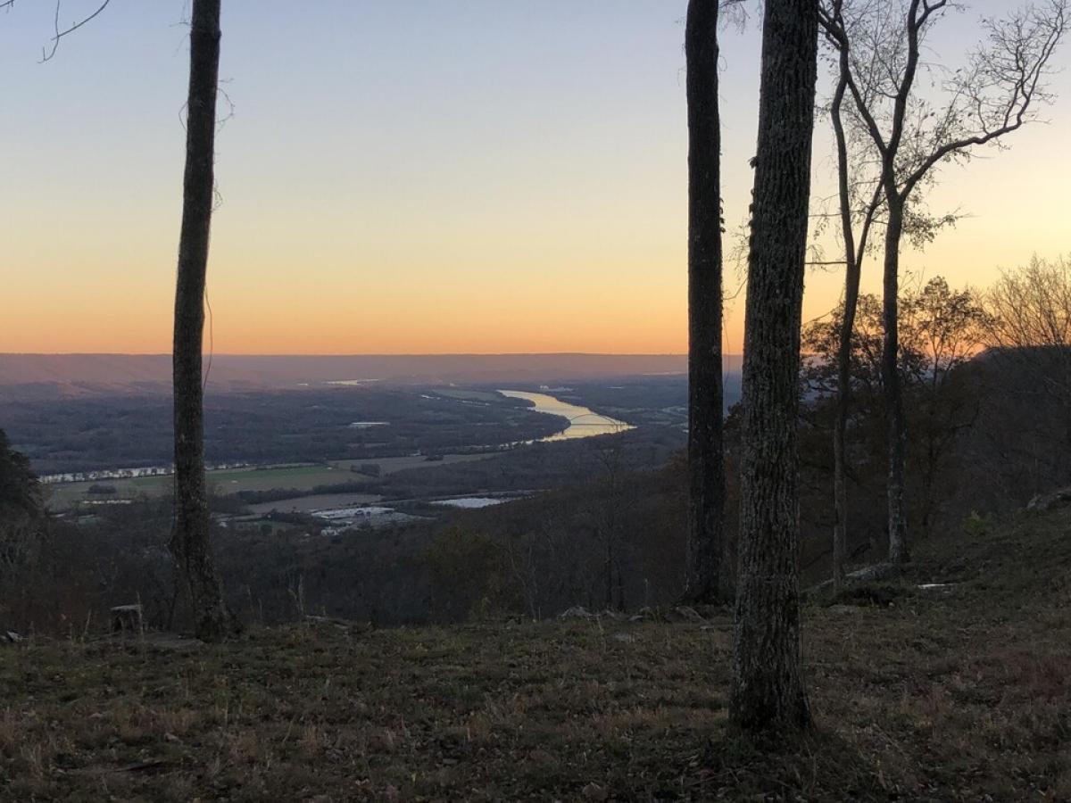 Picture of Residential Land For Sale in Jasper, Tennessee, United States