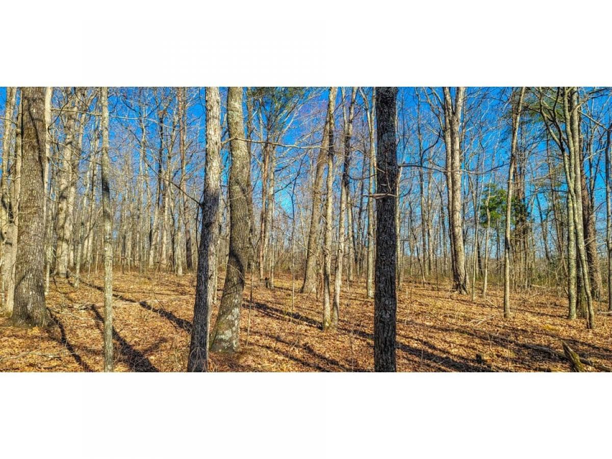 Picture of Residential Land For Sale in Monteagle, Tennessee, United States