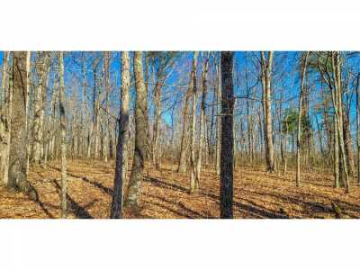 Residential Land For Sale in 