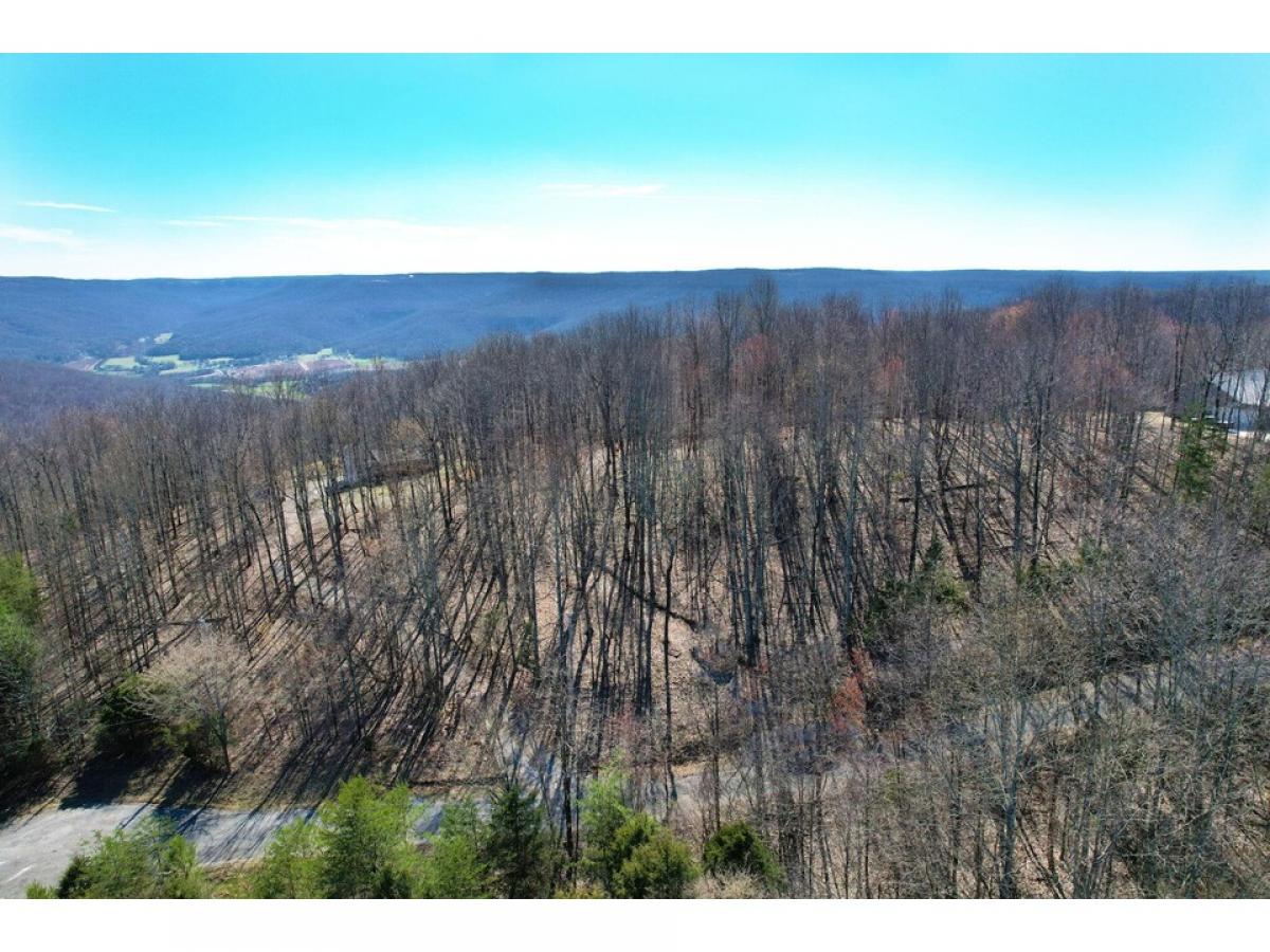 Picture of Residential Land For Sale in South Pittsburg, Tennessee, United States