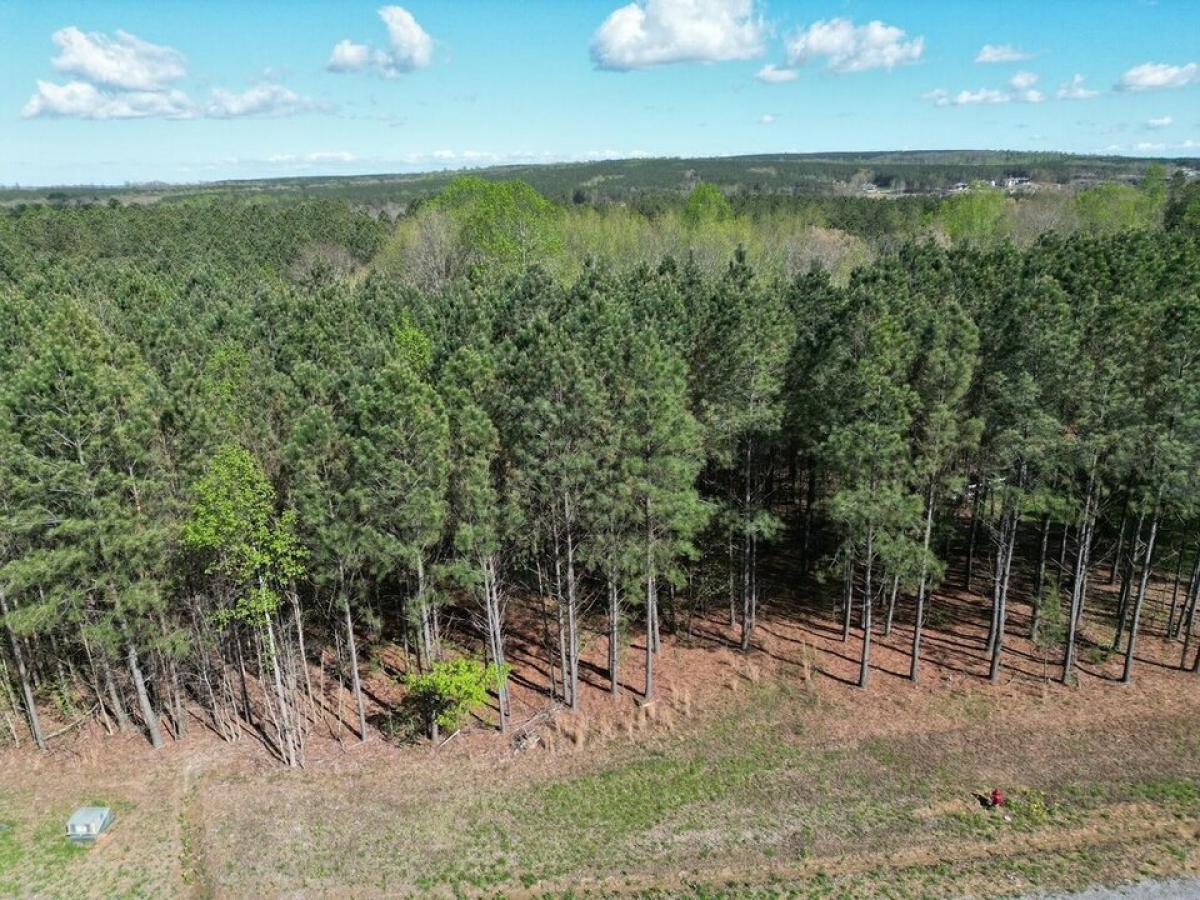 Picture of Residential Land For Sale in Jasper, Tennessee, United States