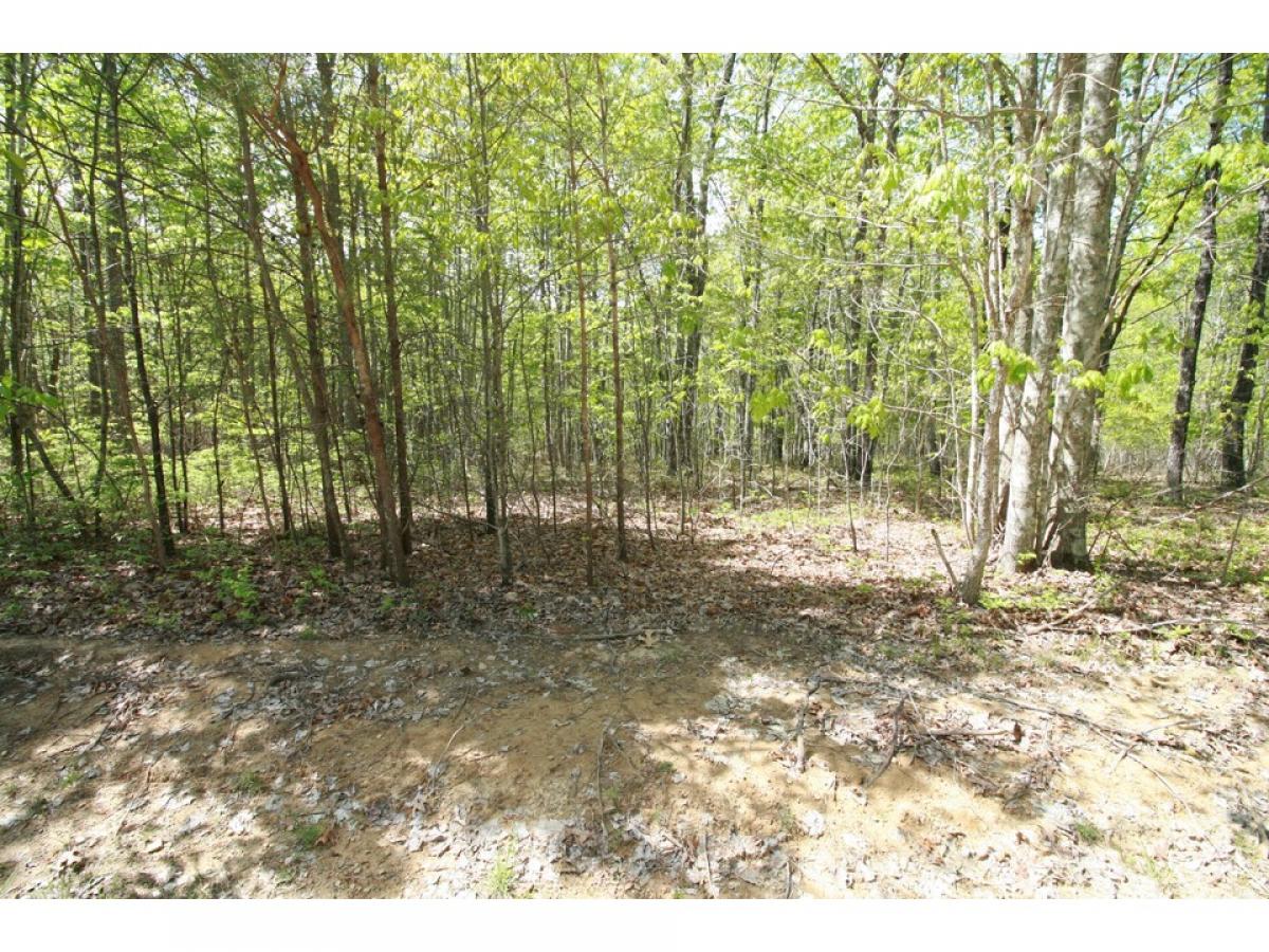 Picture of Residential Land For Sale in Dunlap, Tennessee, United States