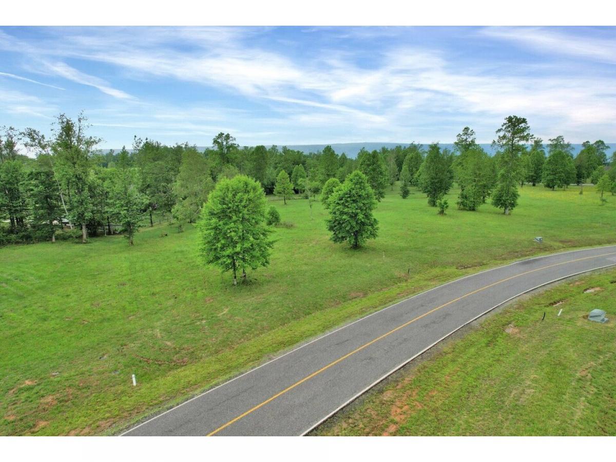 Picture of Residential Land For Sale in Jasper, Tennessee, United States