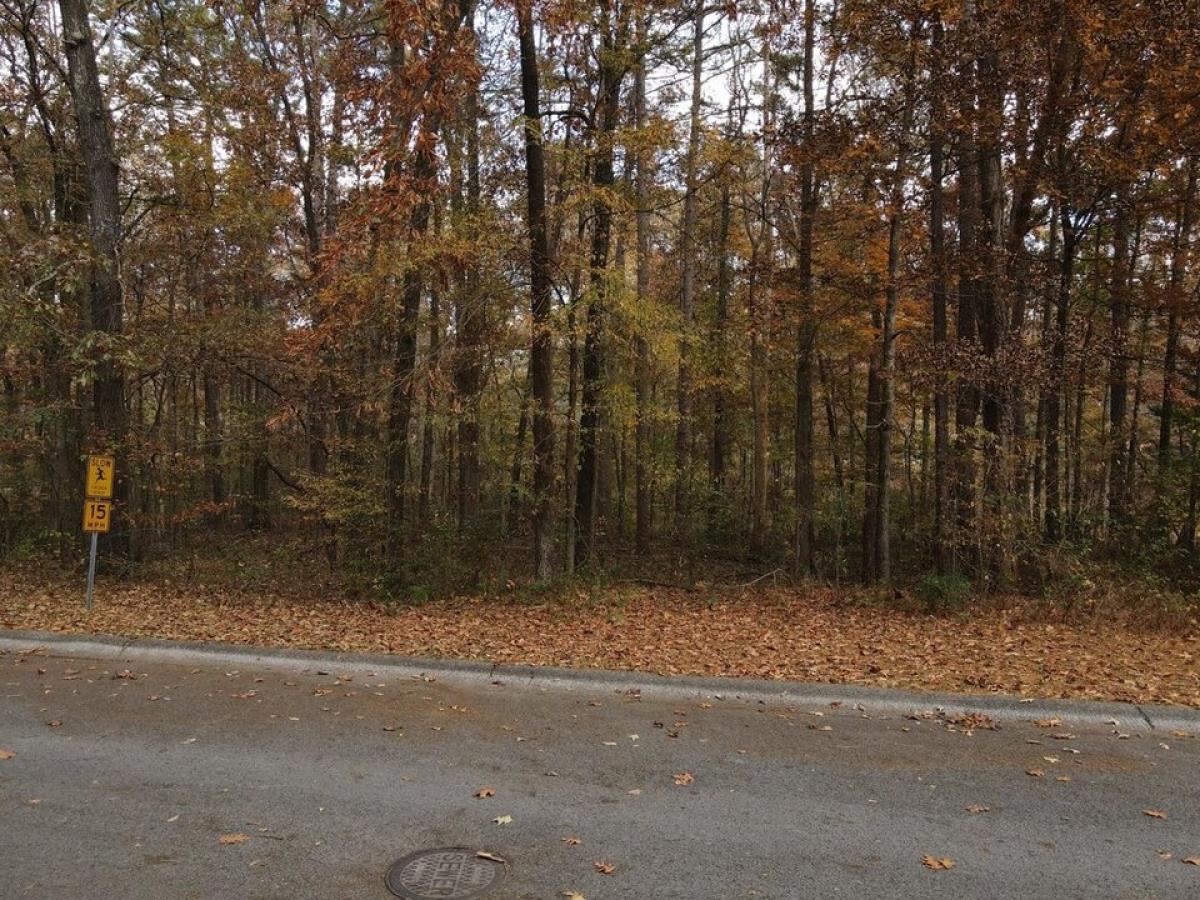 Picture of Residential Land For Sale in Chatsworth, Georgia, United States