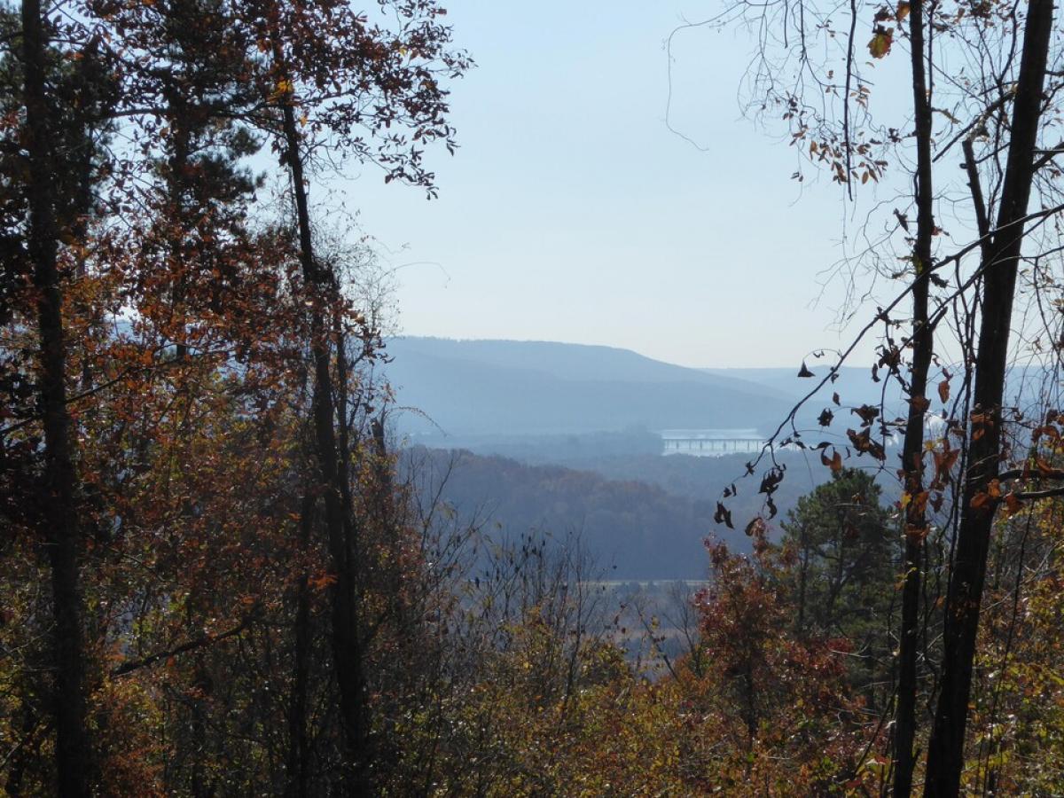 Picture of Residential Land For Sale in South Pittsburg, Tennessee, United States