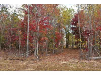 Residential Land For Sale in 