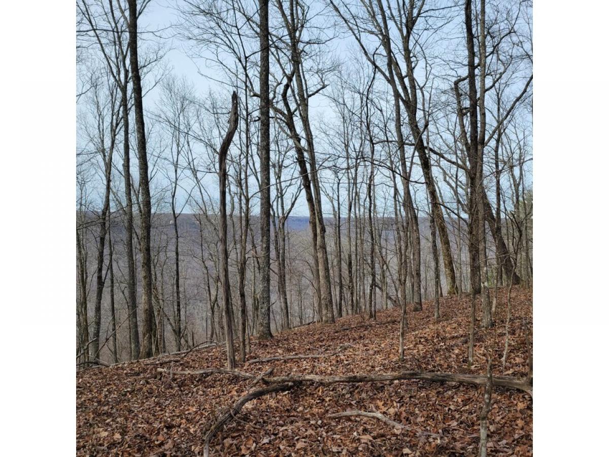 Picture of Residential Land For Sale in Sewanee, Tennessee, United States