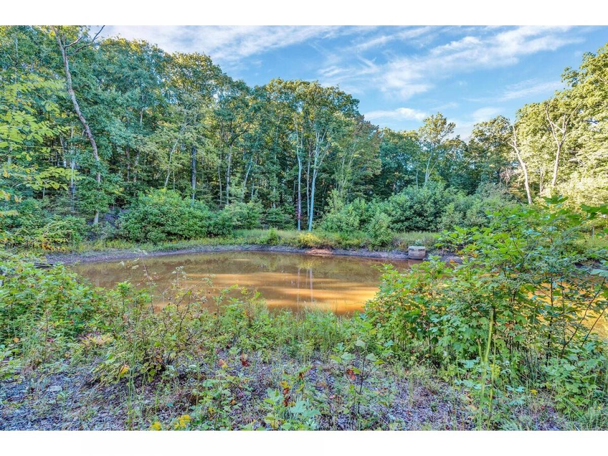 Picture of Residential Land For Sale in Jasper, Tennessee, United States