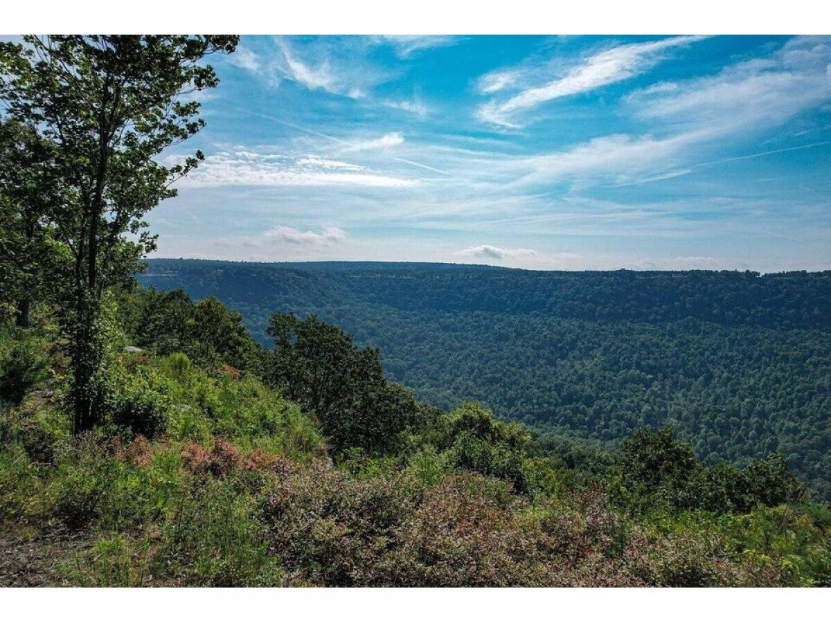 Picture of Residential Land For Sale in Jasper, Tennessee, United States