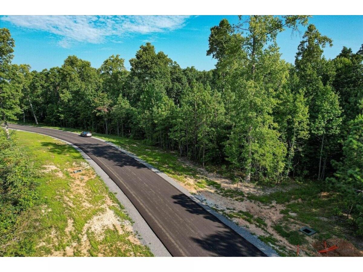 Picture of Residential Land For Sale in Jasper, Tennessee, United States