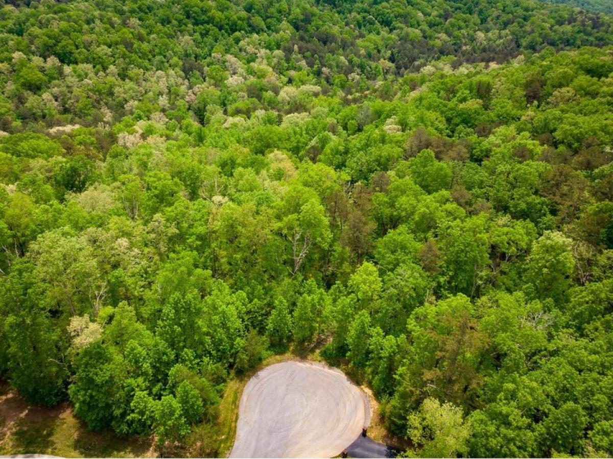 Picture of Residential Land For Sale in Signal Mountain, Tennessee, United States