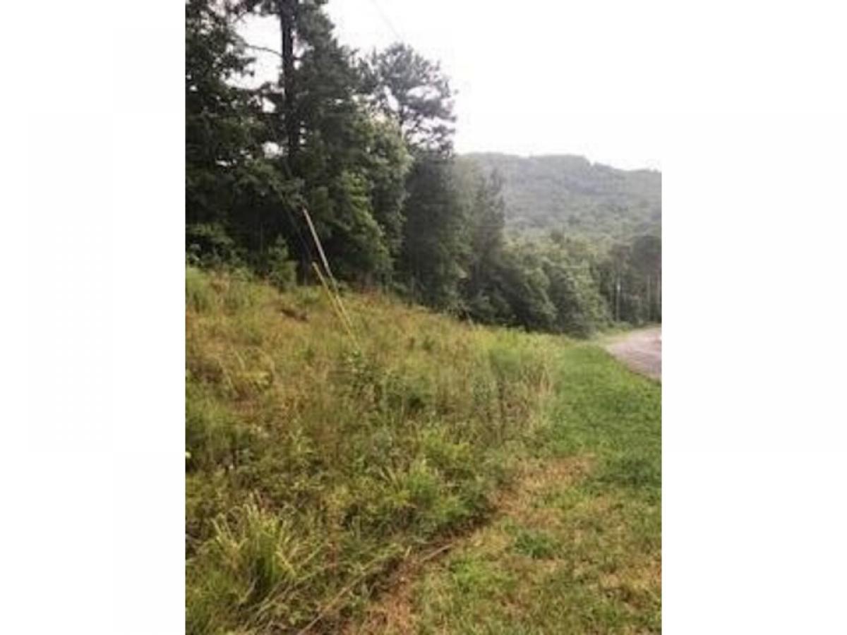 Picture of Residential Land For Sale in Copperhill, Tennessee, United States