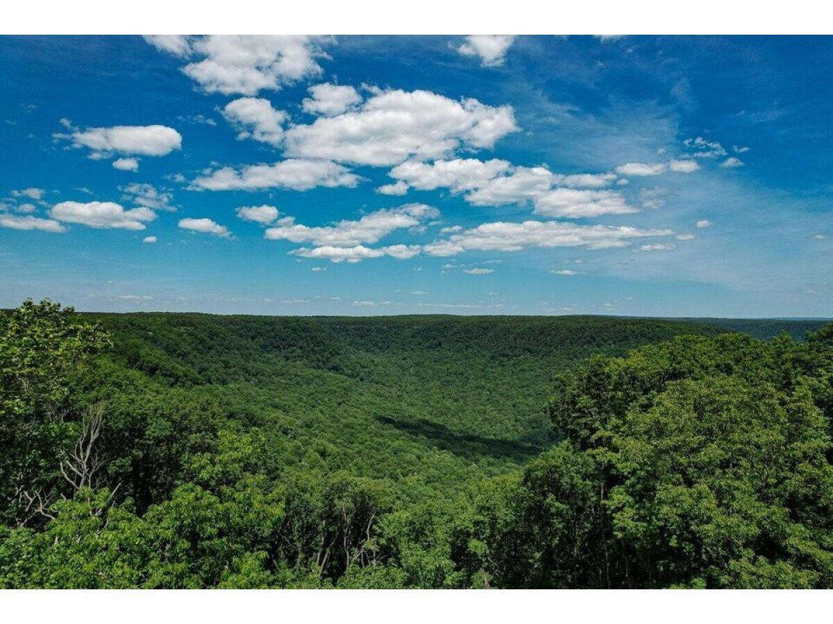 Picture of Residential Land For Sale in Jasper, Tennessee, United States