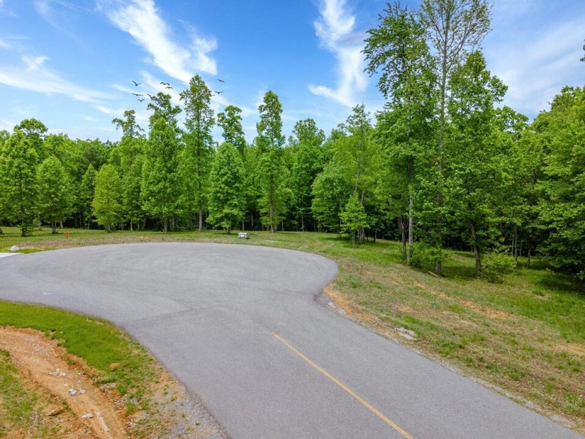 Picture of Residential Land For Sale in Jasper, Tennessee, United States