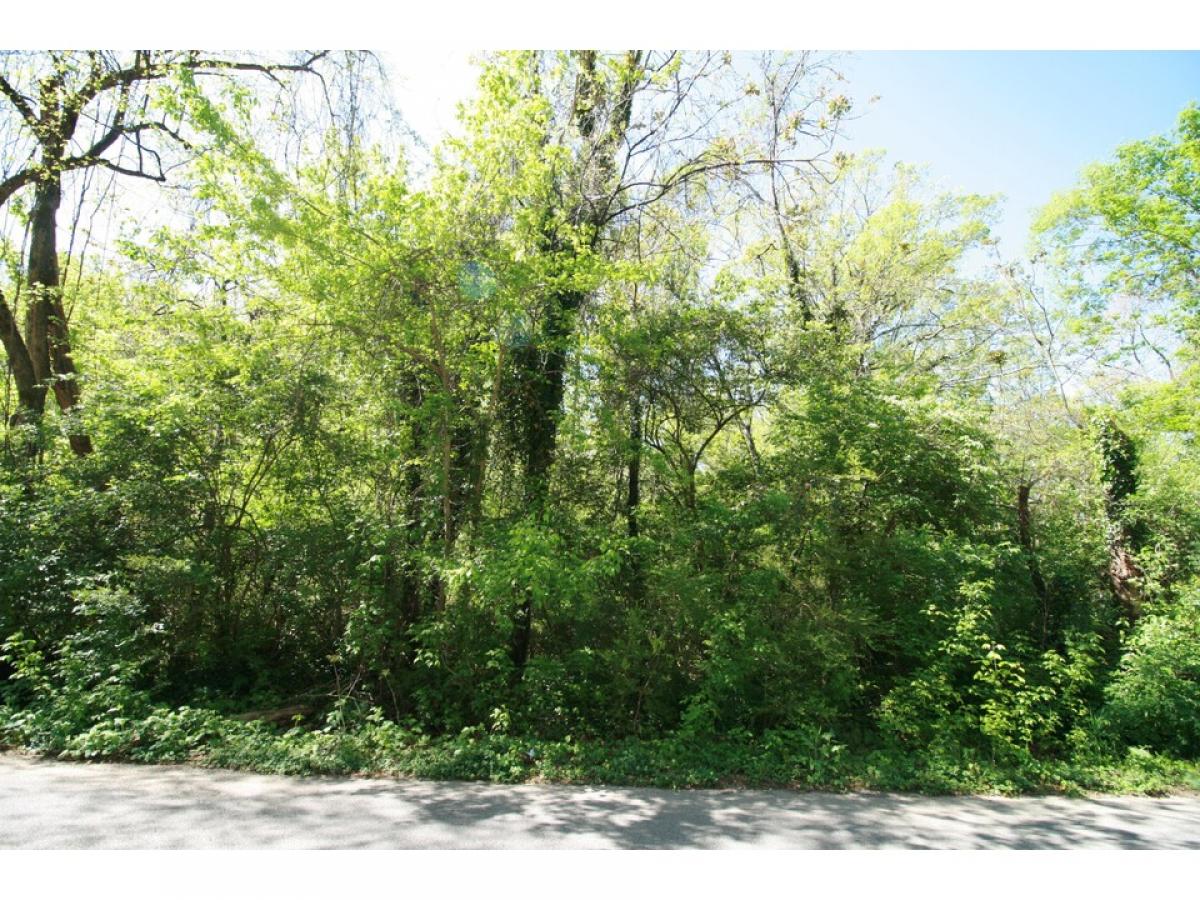 Picture of Residential Land For Sale in Chattanooga, Tennessee, United States