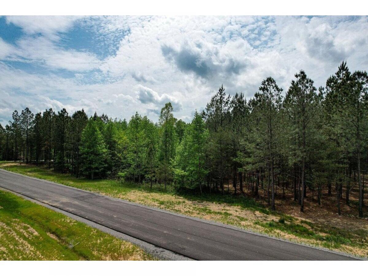 Picture of Residential Land For Sale in Jasper, Tennessee, United States