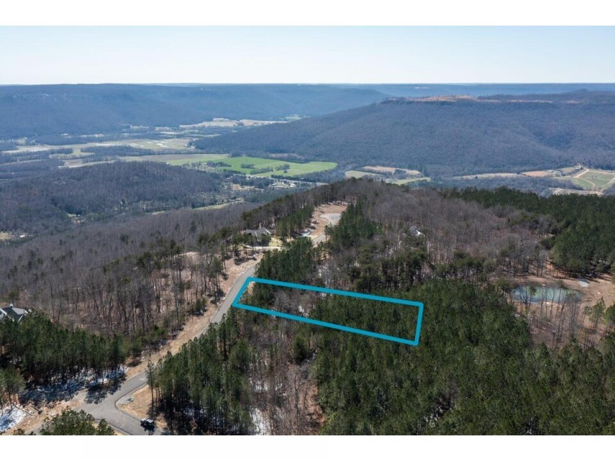 Picture of Residential Land For Sale in Jasper, Tennessee, United States