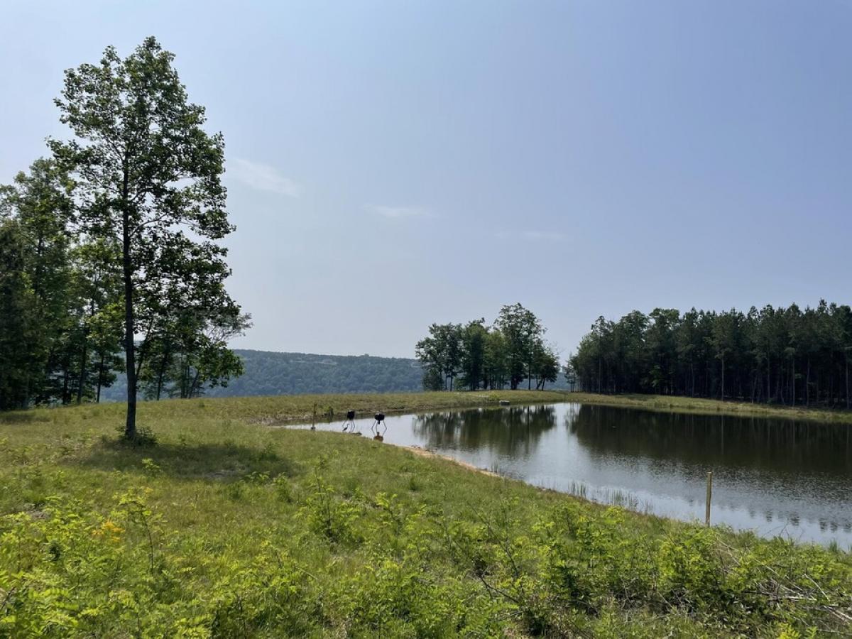 Picture of Residential Land For Sale in Jasper, Tennessee, United States