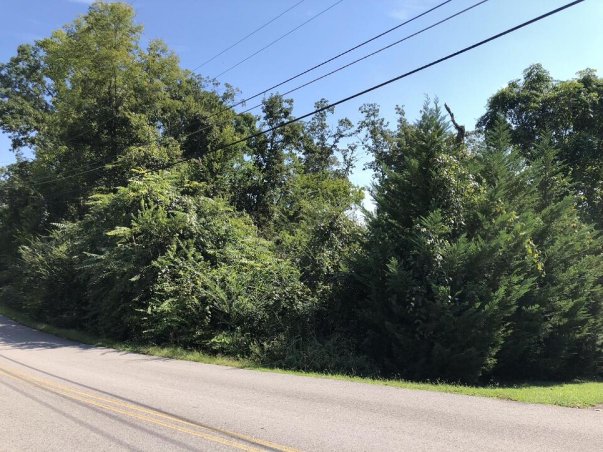 Picture of Residential Land For Sale in Red Bank, Tennessee, United States