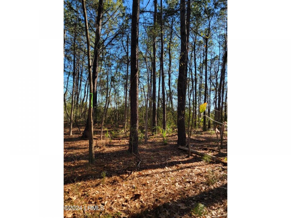 Picture of Residential Land For Sale in Dale, South Carolina, United States