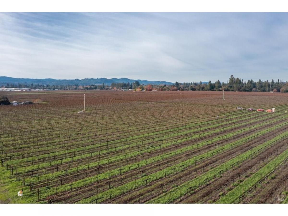 Picture of Residential Land For Sale in Healdsburg, California, United States