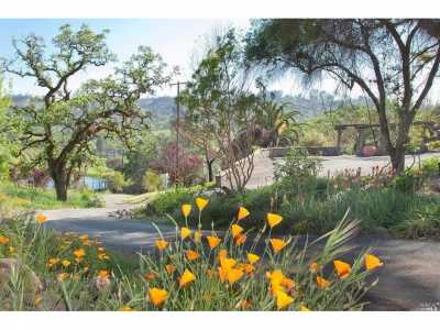 Residential Land For Sale in Santa Rosa, California