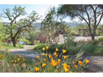 Residential Land For Sale in Santa Rosa, California