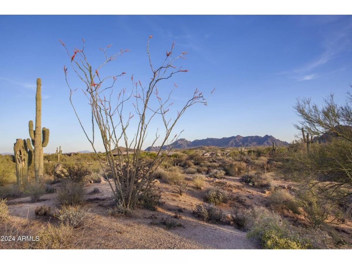 Picture of Residential Land For Sale in Scottsdale, Arizona, United States