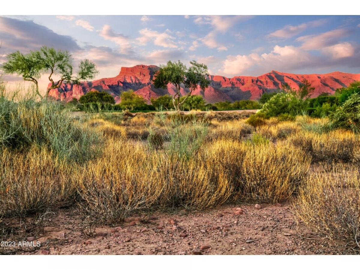 Picture of Residential Land For Sale in Gold Canyon, Arizona, United States