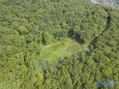 Residential Land For Sale in Owens Cross Roads, Alabama