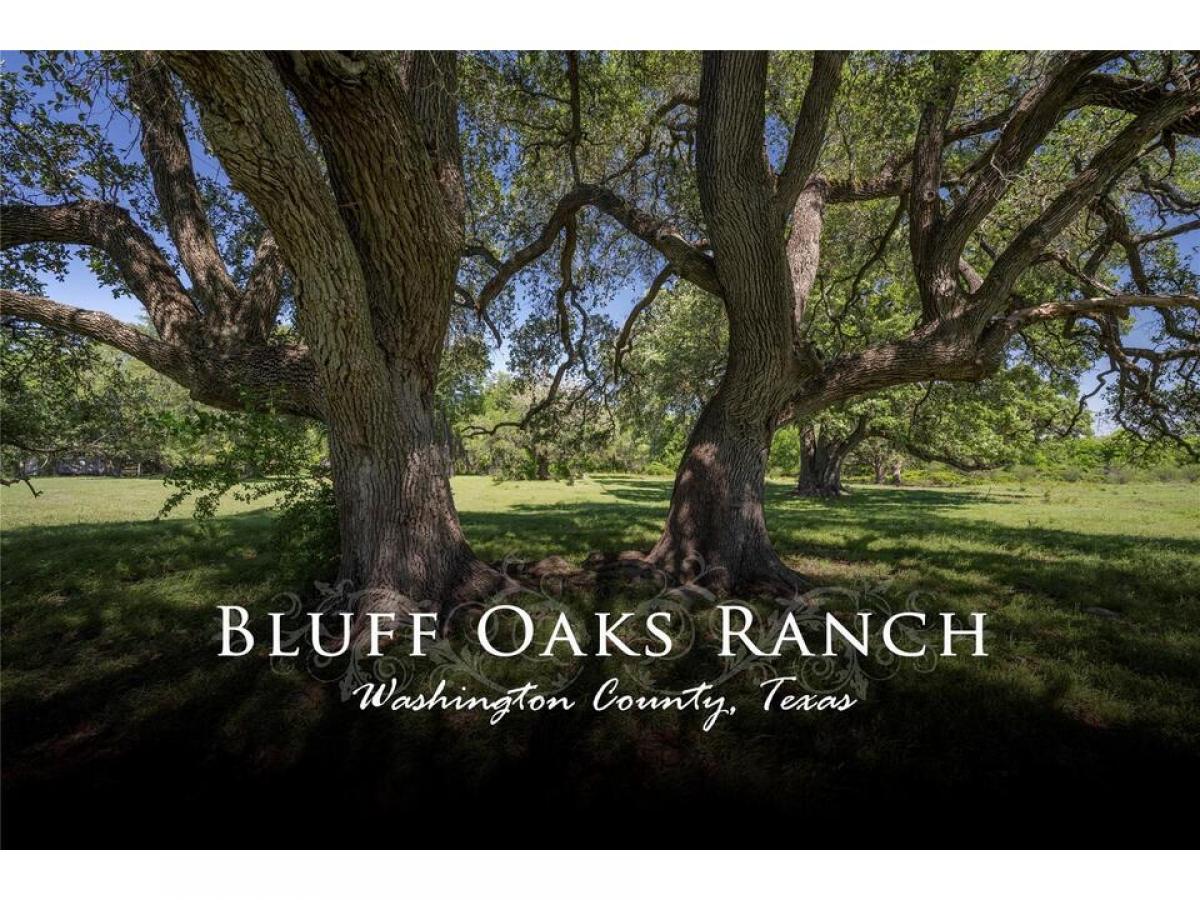 Picture of Residential Land For Sale in Washington, Texas, United States